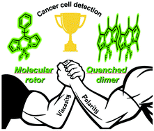 Graphical abstract: Confronting molecular rotors and self-quenched dimers as fluorogenic BODIPY systems to probe biotin receptors in cancer cells