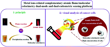 Graphical abstract: Complementary atomic flame/molecular colorimetry dual-mode assay for sensitive and wide-range detection of cancer cells