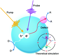 Graphical abstract: Defect-mediated electron transfer in photocatalysts