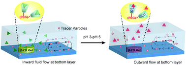 Graphical abstract: Valveless flow reversal by a pH responsive supramolecular micropump