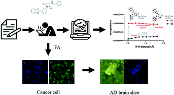 Graphical abstract: Construction and theoretical insights into the ESIPT fluorescent probe for imaging formaldehyde in vitro and in vivo