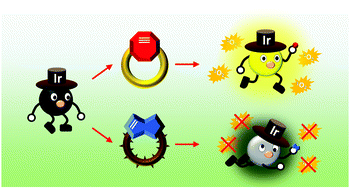 Graphical abstract: Bioorthogonal control of the phosphorescence and singlet oxygen photosensitisation properties of iridium(iii) tetrazine complexes