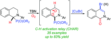 Graphical abstract: Oxidation of the inert sp3 C–H bonds of tetrahydroisoquinolines through C–H activation relay (CHAR): construction of functionalized isoquinolin-1-ones
