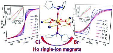Graphical abstract: Enhancing the energy barrier and hysteresis temperature in two benchtop-stable Ho(iii) single-ion magnets