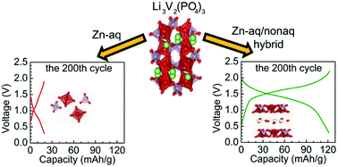 Graphical abstract: The energy storage behavior of a phosphate-based cathode material in rechargeable zinc batteries