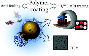 Graphical abstract: Antifouling fluoropolymer-coated nanomaterials for 19F MRI