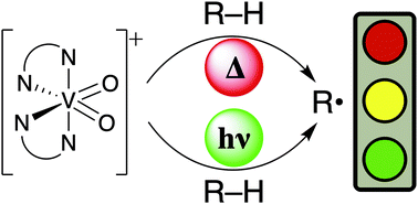 Graphical abstract: Photo-initiated oxidation of C–H bonds by diimine complexes of vanadium(v)