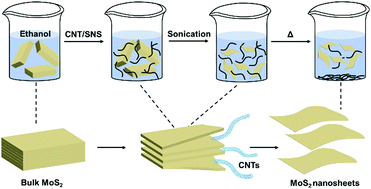 Graphical abstract: Exfoliation of large-flake, few-layer MoS2 nanosheets mediated by carbon nanotubes