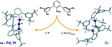 Graphical abstract: Zero-valent ML2 complexes of group 10 metals supported by terphenyl phosphanes