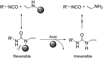 Graphical abstract: Stabilization of the hindered urea bond through de-tert-butylation