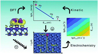 Graphical abstract: Close band center and rapid adsorption kinetics facilitate selective electrochemical sensing of heavy metal ions