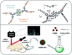 Graphical abstract: Aggregation-induced emission fluorophores based on strong electron-acceptor 2,2′-(anthracene-9,10-diylidene) dimalononitrile for biological imaging in the NIR-II window