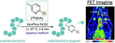 Graphical abstract: Rapid 18F-labeling via Pd-catalyzed S-arylation in aqueous medium