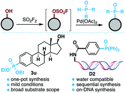 Graphical abstract: Palladium-catalyzed one-pot phosphorylation of phenols mediated by sulfuryl fluoride