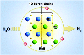 Graphical abstract: Asymmetrically strained hcp rhodium sublattice stabilized by 1D covalent boron chains as an efficient electrocatalyst