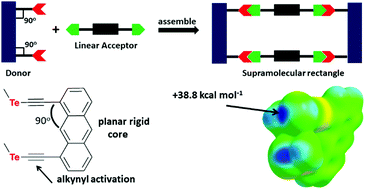 Graphical abstract: Supramolecular rectangles through directional chalcogen bonding
