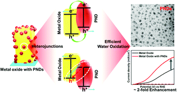 Graphical abstract: Phosphorus nitride nano-dots as a versatile and metal-free support for efficient photoelectrochemical water oxidation