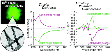 Graphical abstract: Lanthanide ion-doped silica nanohelix: a helical inorganic network acts as a chiral source for metal ions