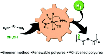 Graphical abstract: Direct synthesis of polyureas from the dehydrogenative coupling of diamines and methanol
