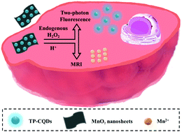 Graphical abstract: Two-photon fluorescence and MR bio-imaging of endogenous H2O2 in the tumor microenvironment using a dual-mode nanoprobe