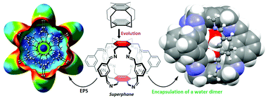 Graphical abstract: Superphane: a new lantern-like receptor for encapsulation of a water dimer