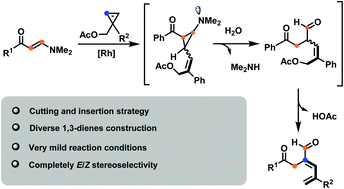 Graphical abstract: An expedient synthesis of highly functionalized 1,3-dienes by employing cyclopropenes as C4 units