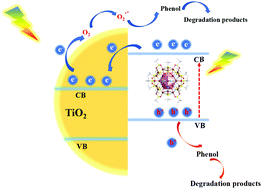 Graphical abstract: A high-nuclearity CuI/CuII nanocluster catalyst for phenol degradation