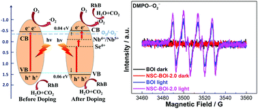 Graphical abstract: Nb/Se Co-doped BiOI nanomaterials with exposed (110) facets for enhanced visible-light-driven photocatalytic activity