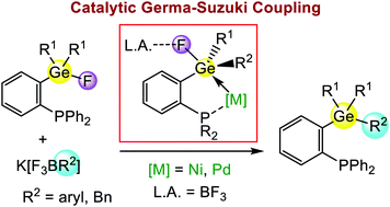 Graphical abstract: Pd/Ni-Catalyzed Germa-Suzuki coupling via dual Ge–F bond activation