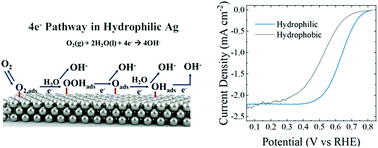 Graphical abstract: Effect of silver electrode wetting state on oxygen reduction electrochemistry