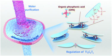 Graphical abstract: A transport channel-regulated MXene membrane via organic phosphonic acids for efficient water permeation