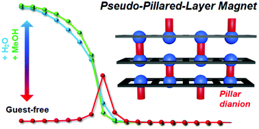 Graphical abstract: Guest-selective and reversible magnetic phase switching in a pseudo-pillared-layer porous magnet