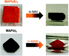 Graphical abstract: Investigating the iodide and bromide ion exchange in metal halide perovskite single crystals and thin films
