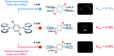 Graphical abstract: Tunable microstructures of ultralong organic phosphorescence materials