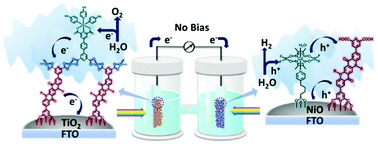 Graphical abstract: Pure organic quinacridone dyes as dual sensitizers in tandem photoelectrochemical cells for unassisted total water splitting