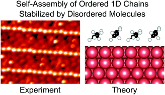 Graphical abstract: Microscopic insights into long-range 1D ordering in a dense semi-disordered molecular overlayer