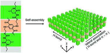 Graphical abstract: Supramolecular 2D monolayered nanosheets constructed by using synergy of non-covalent interactions