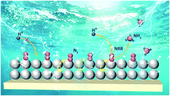 Graphical abstract: Amorphous ReS2 decorated TiO2 nanowire arrays for highly-efficient nitrogen reduction