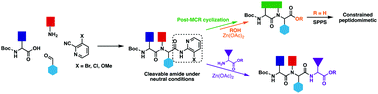 Graphical abstract: 3-Substituted 2-isocyanopyridines as versatile convertible isocyanides for peptidomimetic design