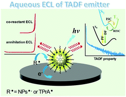 Graphical abstract: Nanoencapsulation strategy: enabling electrochemiluminescence of thermally activated delayed fluorescence (TADF) emitters in aqueous media
