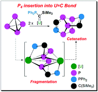 Graphical abstract: Fragmentation, catenation, and direct functionalisation of white phosphorus by a uranium(iv)–silyl–phosphino–carbene complex
