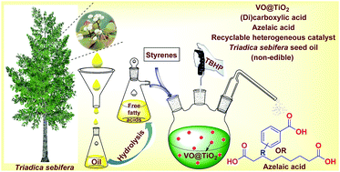 Graphical abstract: Heterogeneous vanadium-catalyzed oxidative cleavage of olefins for sustainable synthesis of carboxylic acids