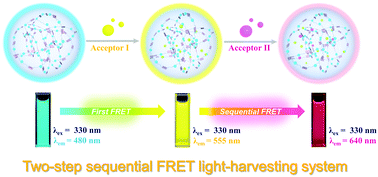 Graphical abstract: Supramolecular polymer-directed light-harvesting system based on a stepwise energy transfer cascade