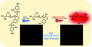 Graphical abstract: A “double-locked” probe for the detection of hydrogen sulfide in a viscous system