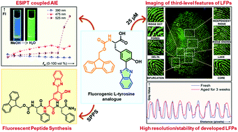 Graphical abstract: Visualization of third-level information in latent fingerprints by a new fluorogenic l-tyrosine analogue
