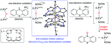 Graphical abstract: Mimicking reactive high-valent diiron-μ2-oxo intermediates of nonheme enzymes by an iron tetracarbene complex