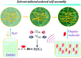 Graphical abstract: Solvent-tailored ordered self-assembly of oligopeptide amphiphiles to create an anisotropic meso-matrix