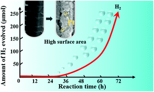 Graphical abstract: Self-assembly and activation of a titania-nanotube based photocatalyst for H2 evolution