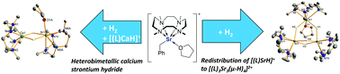 Graphical abstract: Cationic strontium hydride complexes supported by an NNNN-type macrocycle