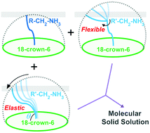 Graphical abstract: Solid solutions of flexible host–guest supramolecules for tuning molecular motion and phase transitions